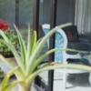 Chalet Intependiente Via La Tebaida - Miniatura 6